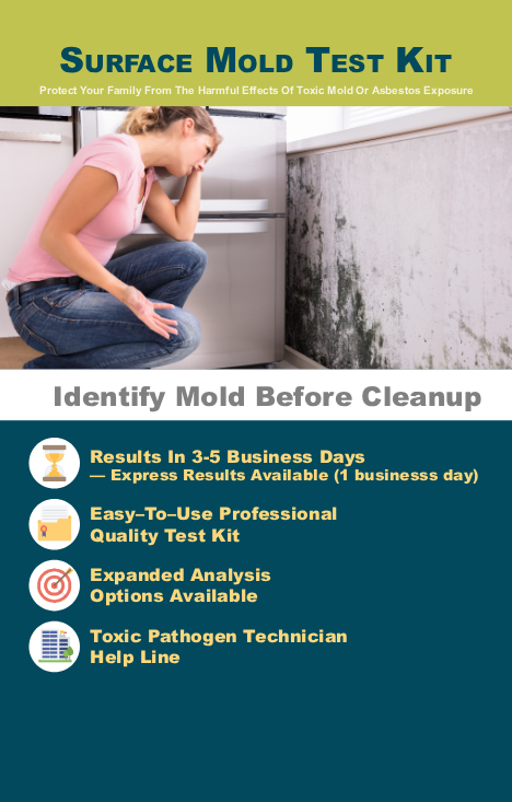 Surface Mold Test Kit
